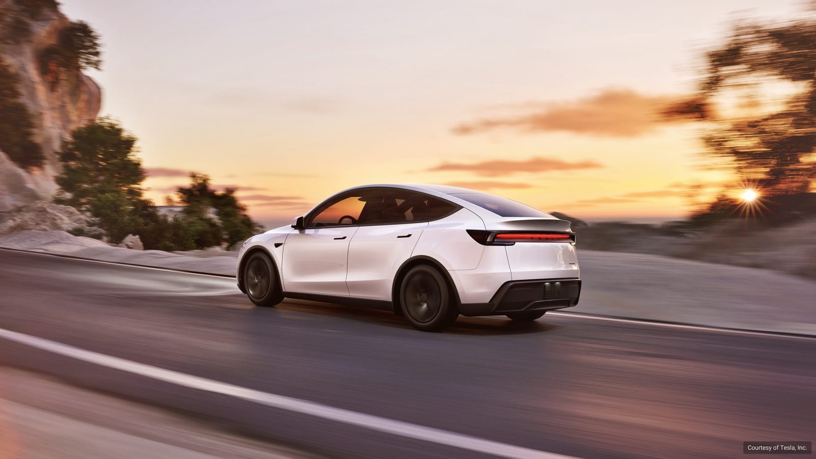 Model Y